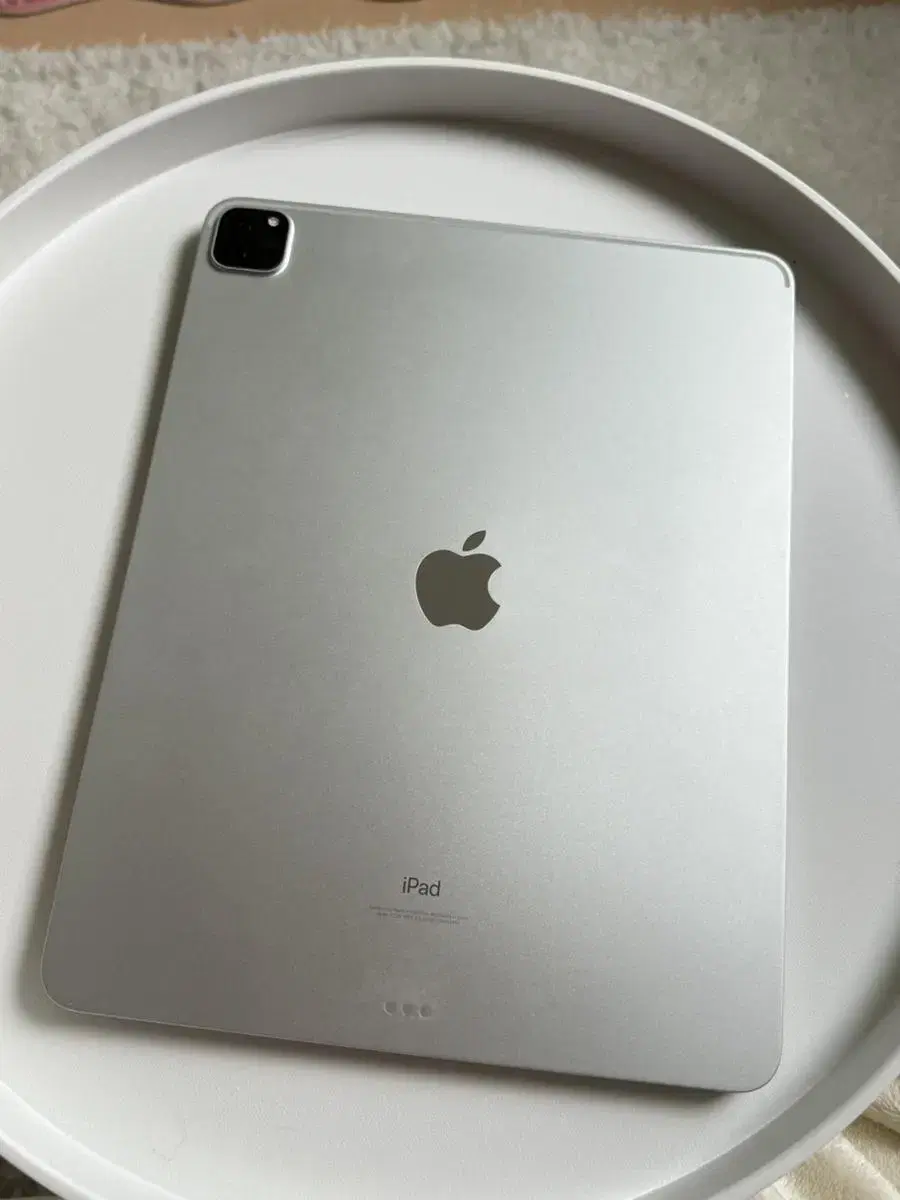 ipad Pro (12.9형) (5세대)   wifi   128G